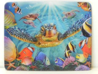 Obrázek z Magnet 3D 7x9cm - mořská želva (25) 